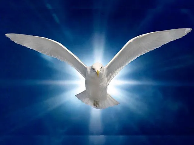 Holy Spirit performs personal acts